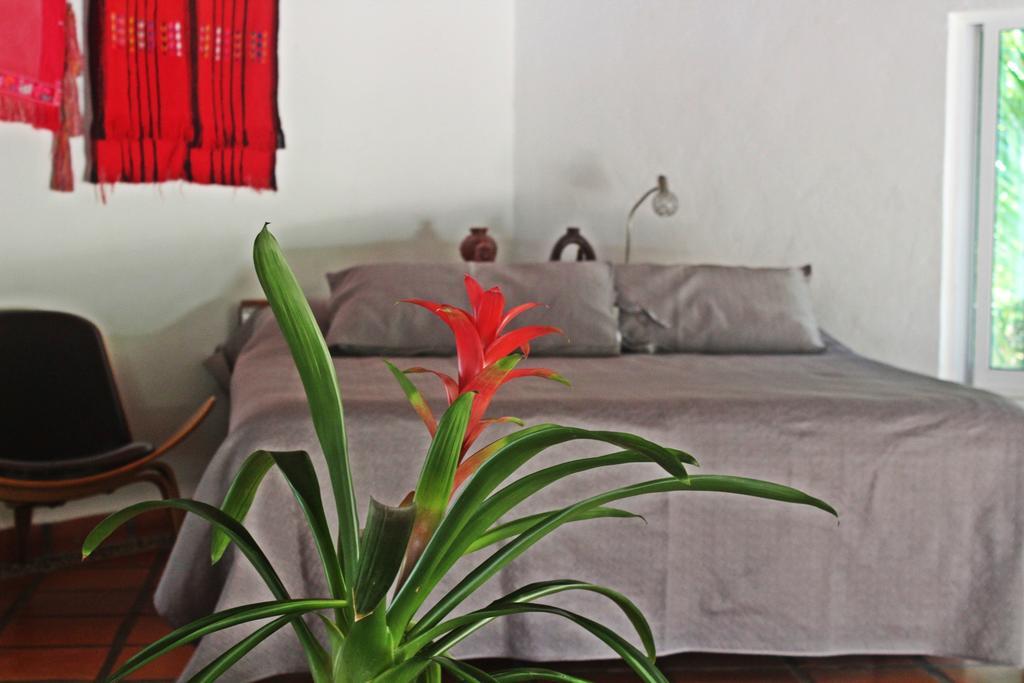 Hotel Que Onda Akumal Kültér fotó